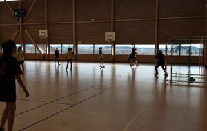 Villette/Meyzieu - Bresse HB (09/01/2016)