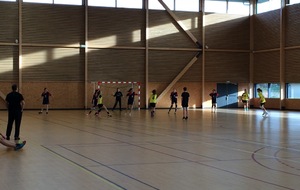 Villette/Meyzieu - Bresse HB (09/01/2016)