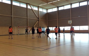 Villette/Meyzieu - Châtillon Vaillante (19/03/2016)