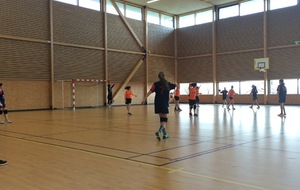 Villette/Meyzieu - Châtillon Vaillante (19/03/2016)