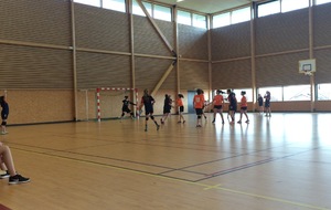 Villette/Meyzieu - Châtillon Vaillante (19/03/2016)