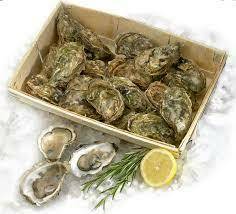 Huîtres à la douzaine