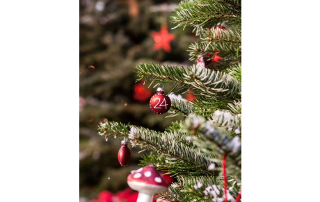 Dernière ligne droite pour les commandes avant Noël !